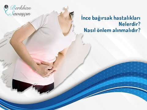 bağısak,bağırsak hastalıkları,ince bağırsak,bağırsak kanseri,genel cerrah,berkhan savaşçın