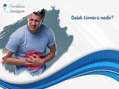 video,paylaşım,kameralı telefon,videofon,ücretsiz,yükleme