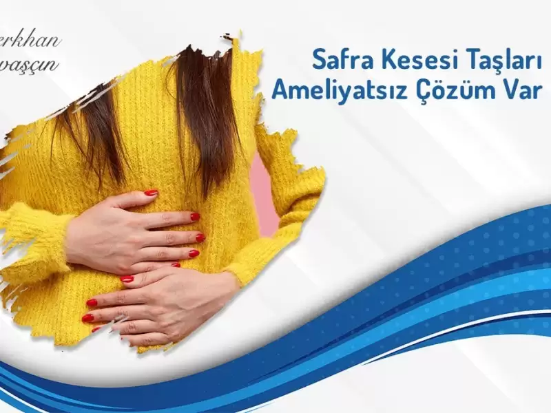safra kesesi,safra kesesi taşı,safra taşı