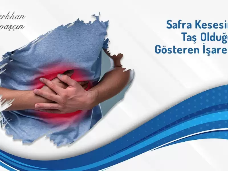 safra kesesi,safra kesesi taşı,safra taşı